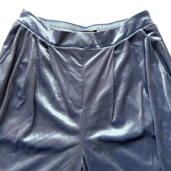 NWT CHRISTIAN LACROIX Women's Velvet Wide Leg Pants Icy Gray Blue Size Small - Picture 3 of 8